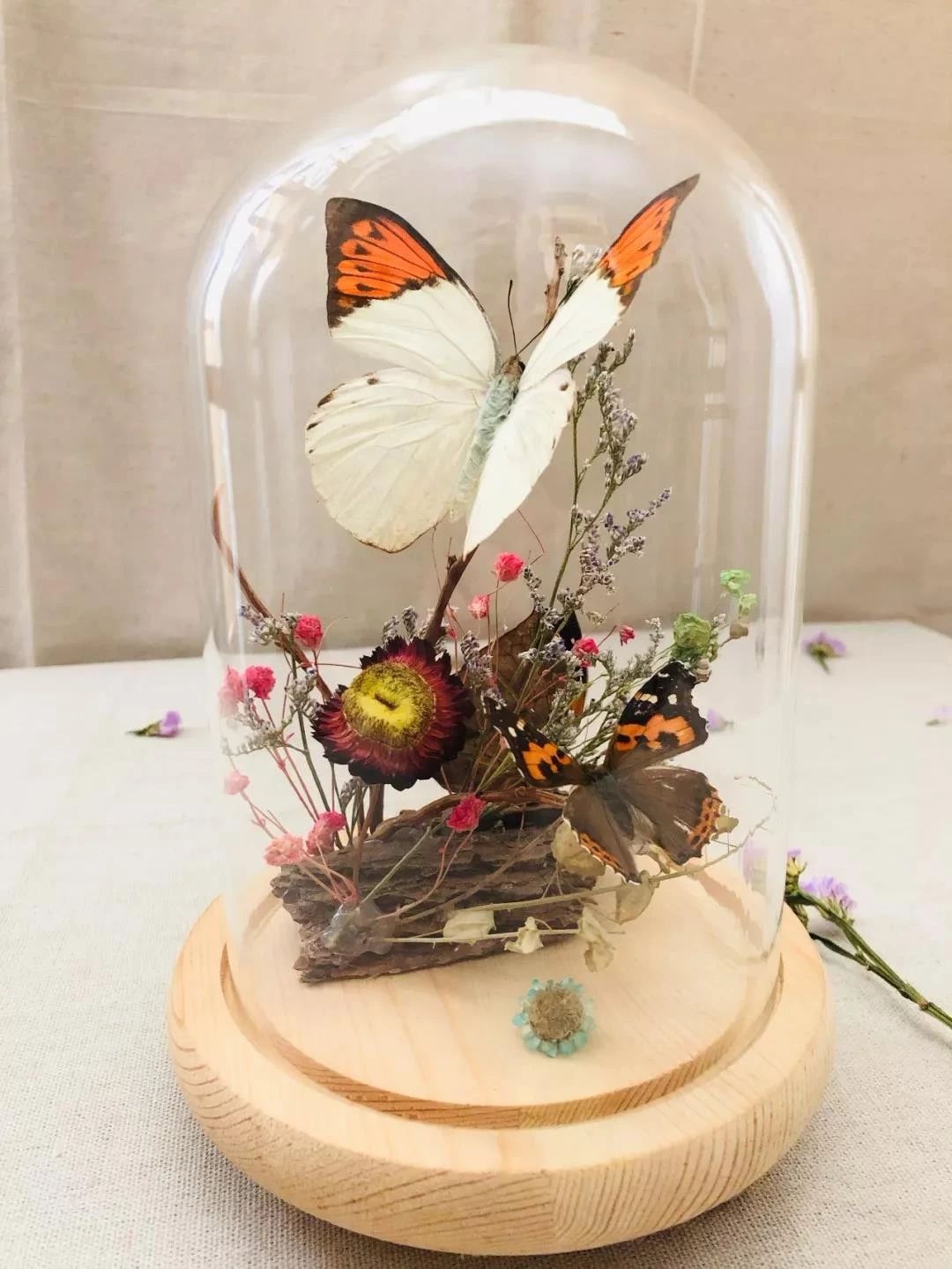 欧亚大观乐活城玩的地方,欧亚大观乐活城完整版