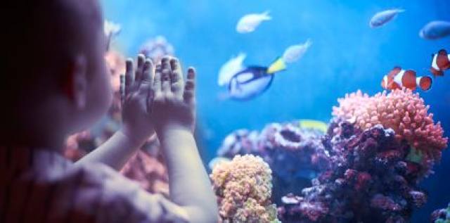 白鹿仓欢迎大家来白鹿仓观看直播,白鹿仓冰雪海洋旅游