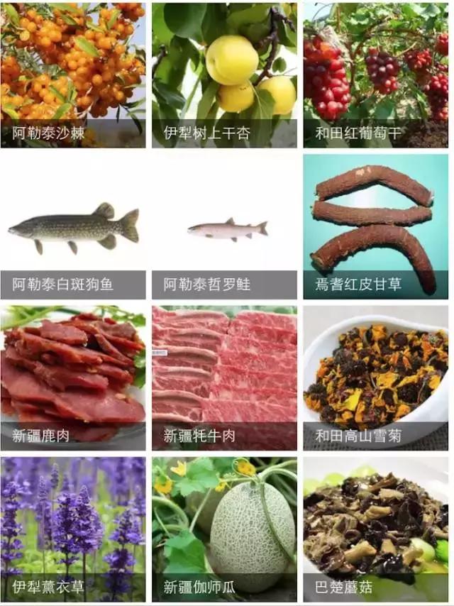 疆领鲜新疆特产,疆公子新疆特产