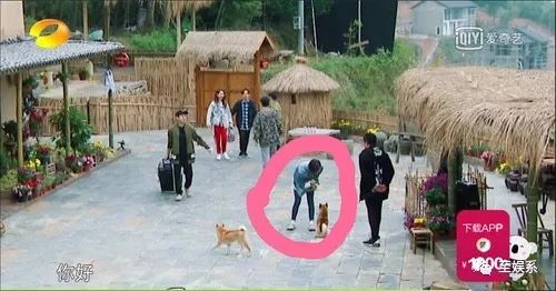 戚薇和王珞丹的前女友上《1818黄金眼》维权了？