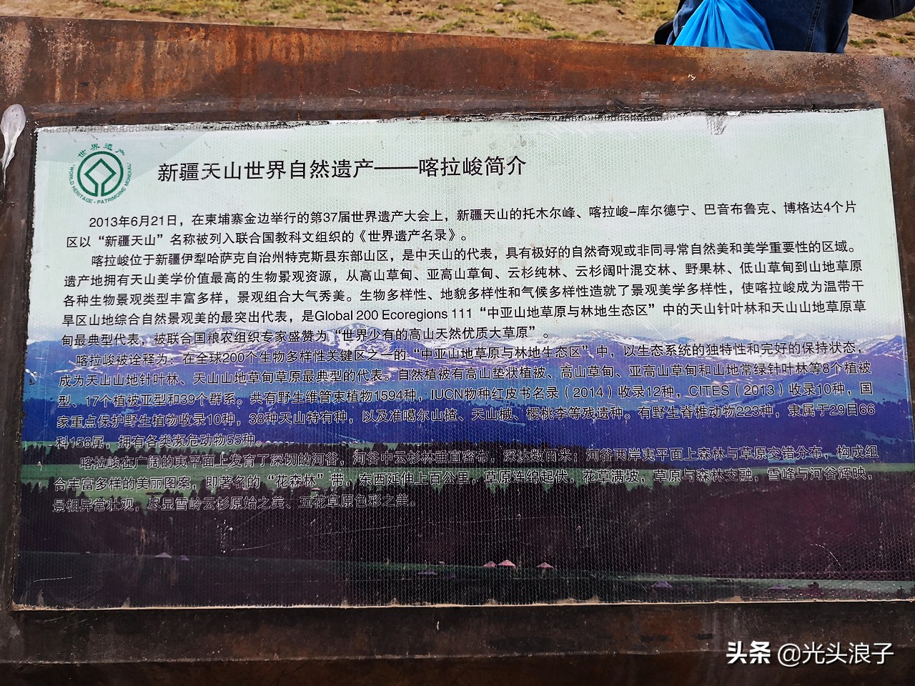 世界自然遗产地喀拉峻大草原,来新疆感受大自然的喀拉峻大草原