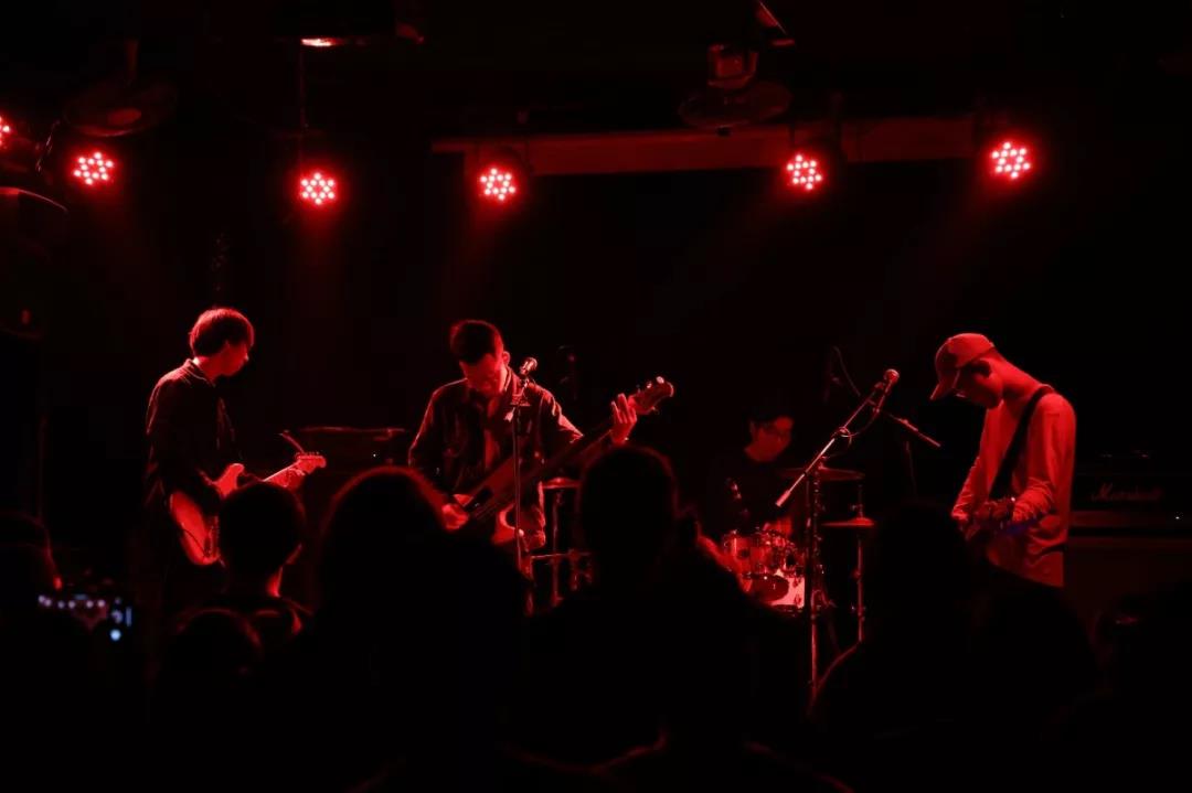 上海草莓基地挖草莓苗,超级草莓上海