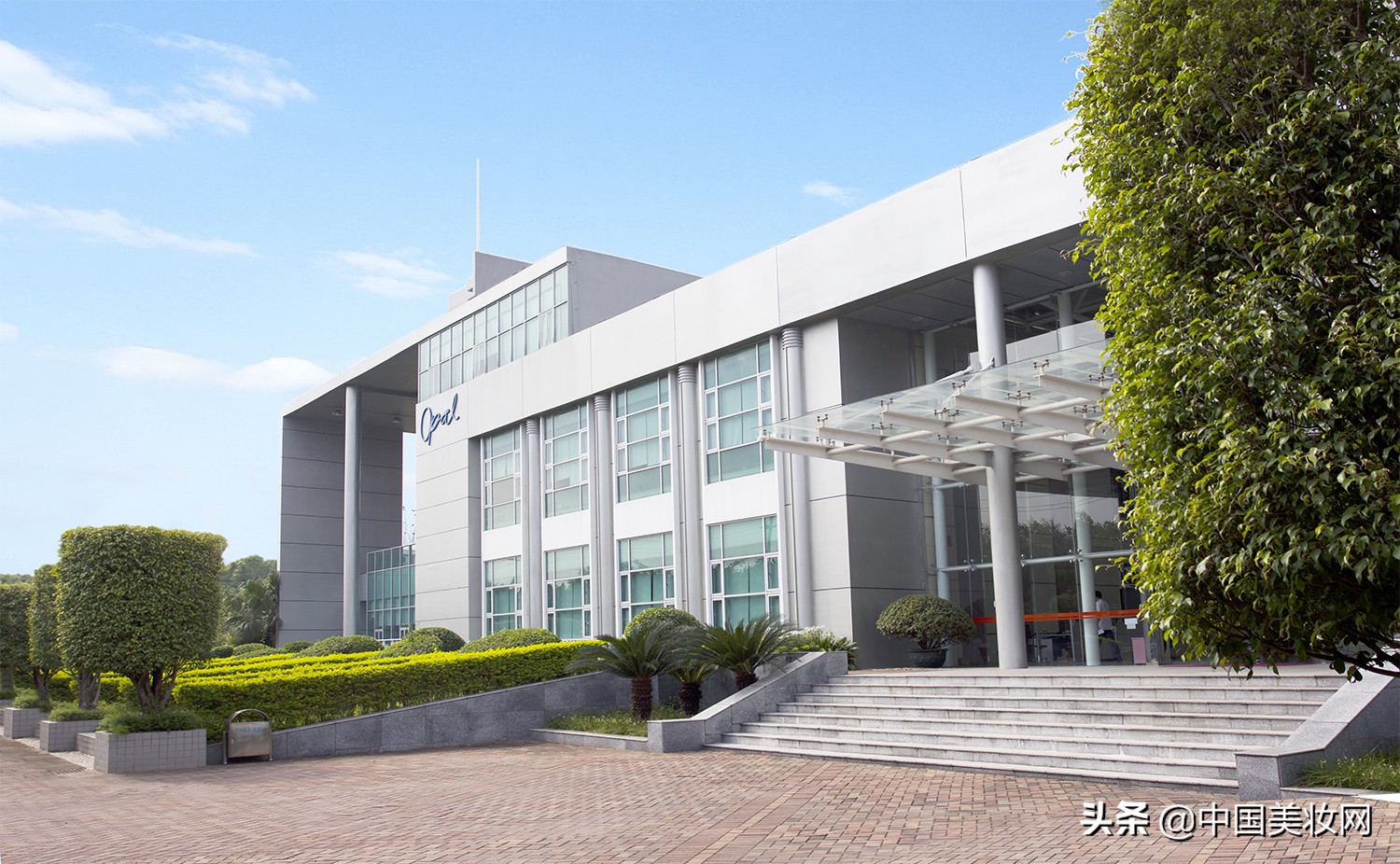 爆品打造的成功案例,爆品打造成功的案例