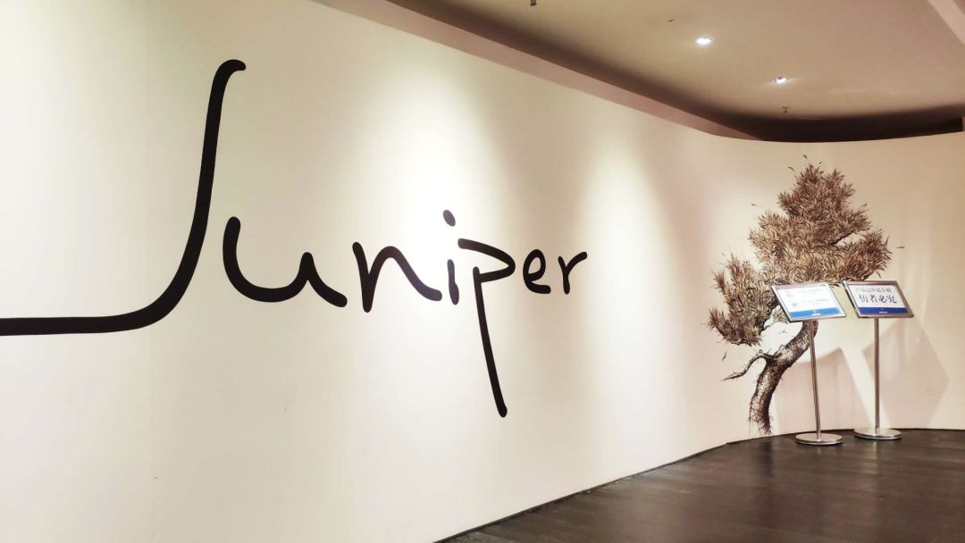 24小时放题，一起去一线品牌的源头工厂选家具，来么？（一）