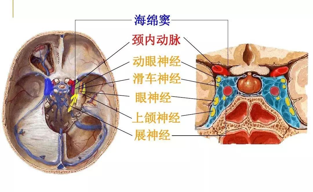 挤了痘痘一直不好,挤了很多次的痘痘还是没挤干净