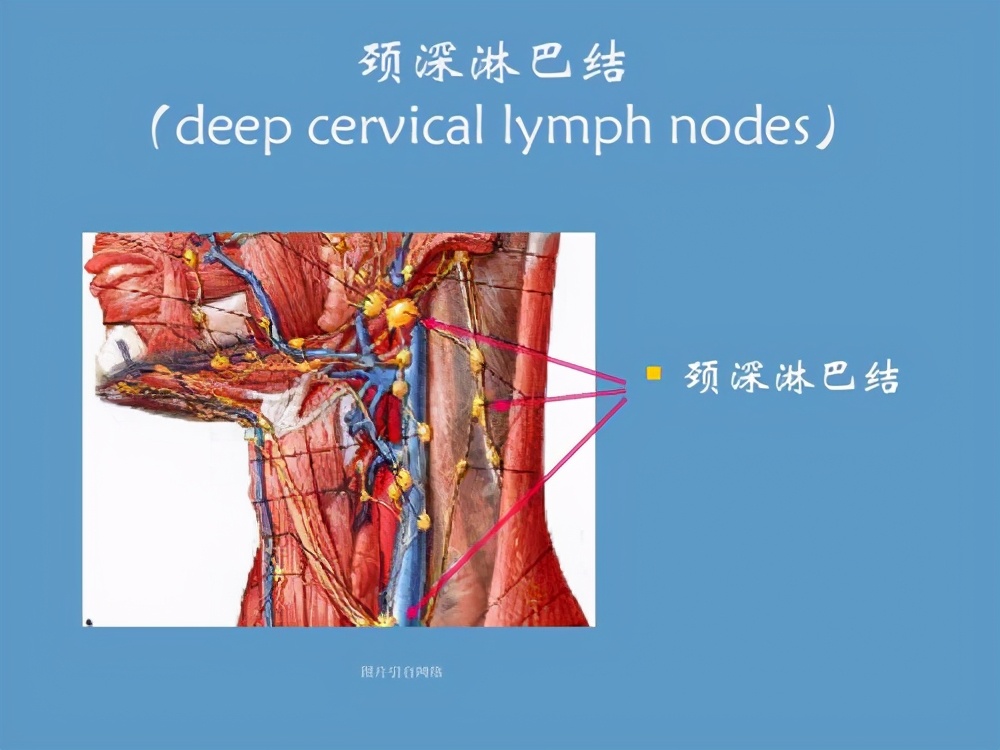 播散性嗜酸性粒细胞增多什么意思,嗜酸性粒细胞增多症血液病
