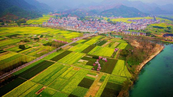 春暖花开的季节我和你如期相约,醉美开化油菜花