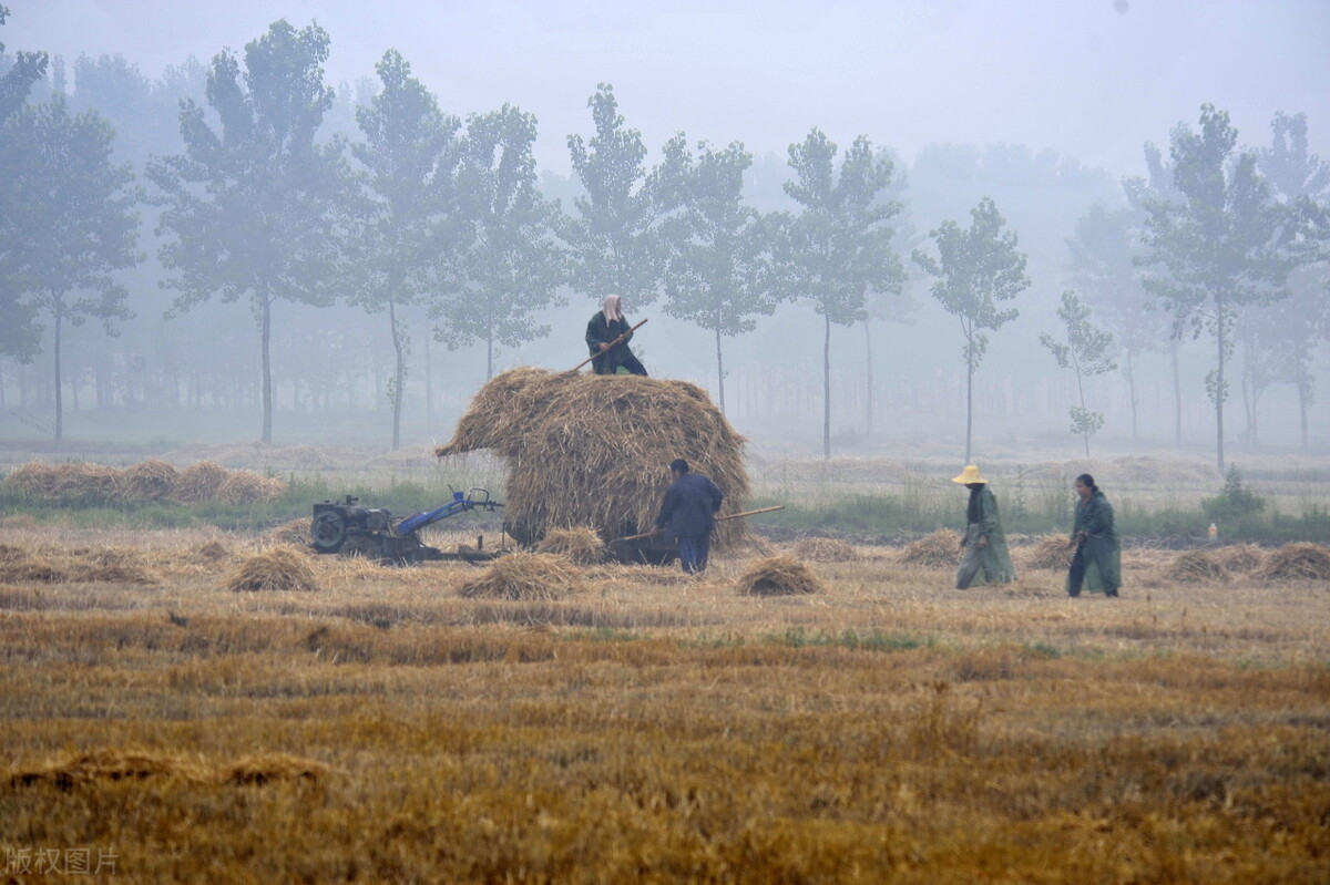 农村墓地拆除新政策,农村墓地清理通告