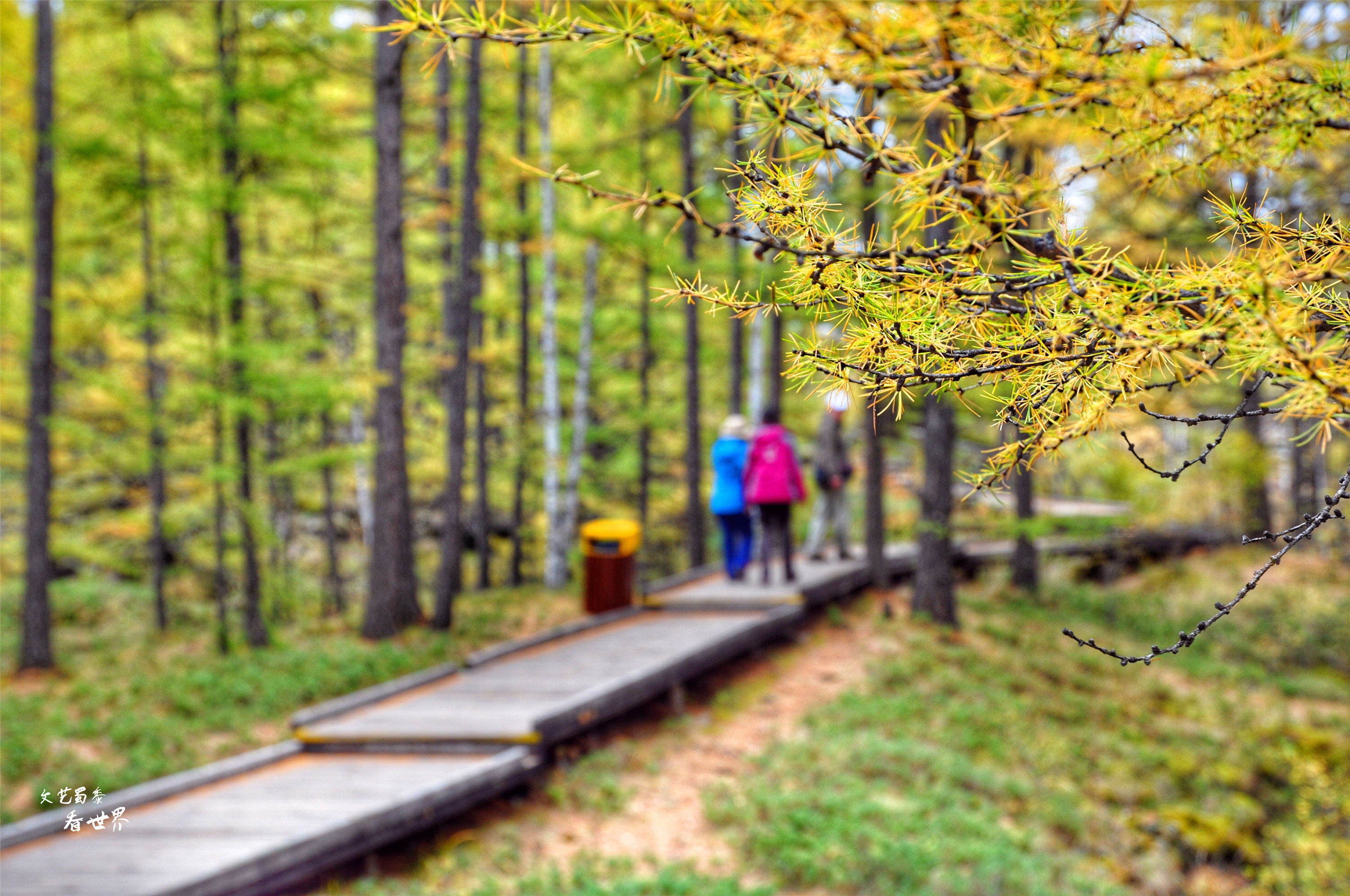 阿尔山的冬天就是童话世界,如果你第一次来到草原会感叹什么