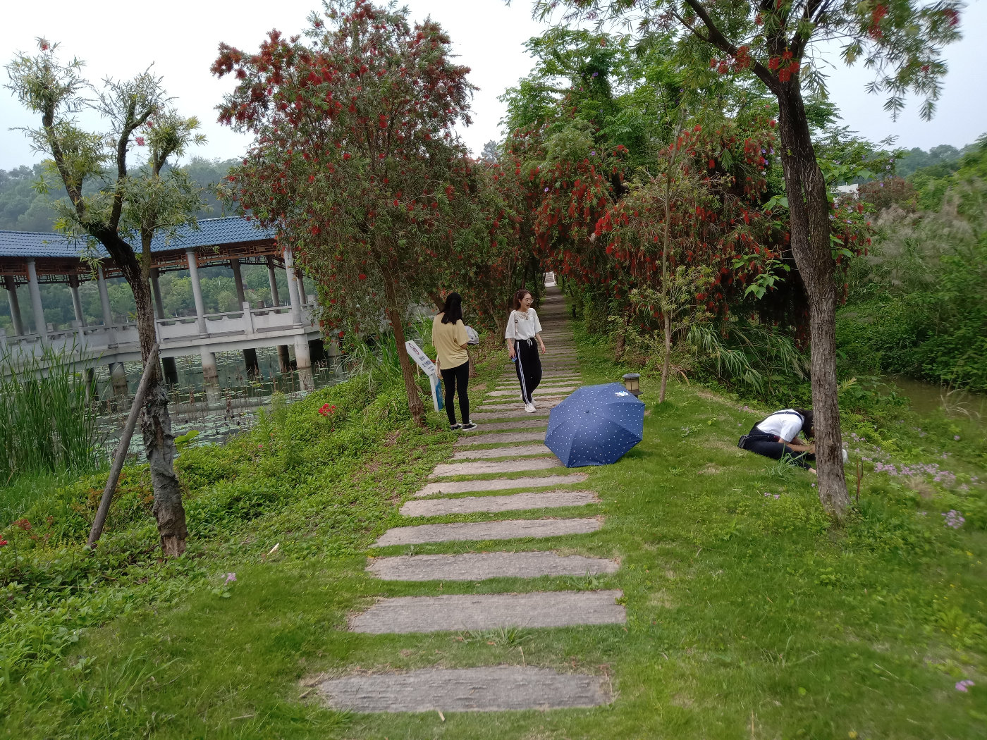 福州大学就像一座大公园，风景美到爆！最美的世界一流学科院校