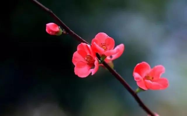 美学之旅，诗歌的标准是什么？如何评价一首诗的好坏？