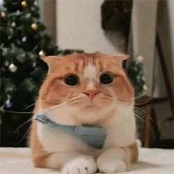 这里的痛，竟然让14年逃犯宁愿被抓也不愿意忍！