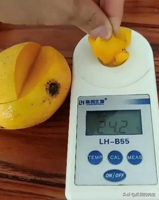 海南小台芒皮薄肉厚甘甜多汁,海南正宗台芒芒果