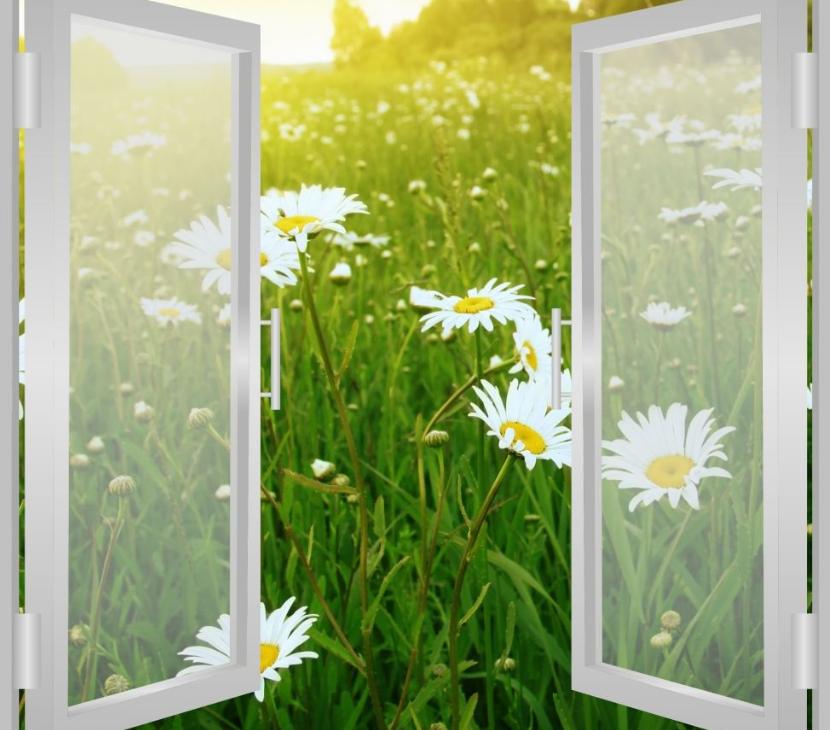 狗狗满屋尿尿怎么办,去除狗狗尿骚味的妙招