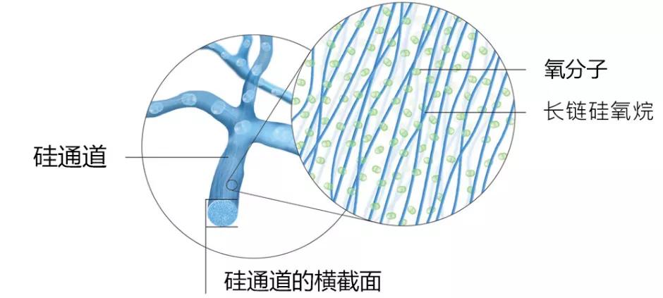 视力保健仪器厂家,视力保健品公司