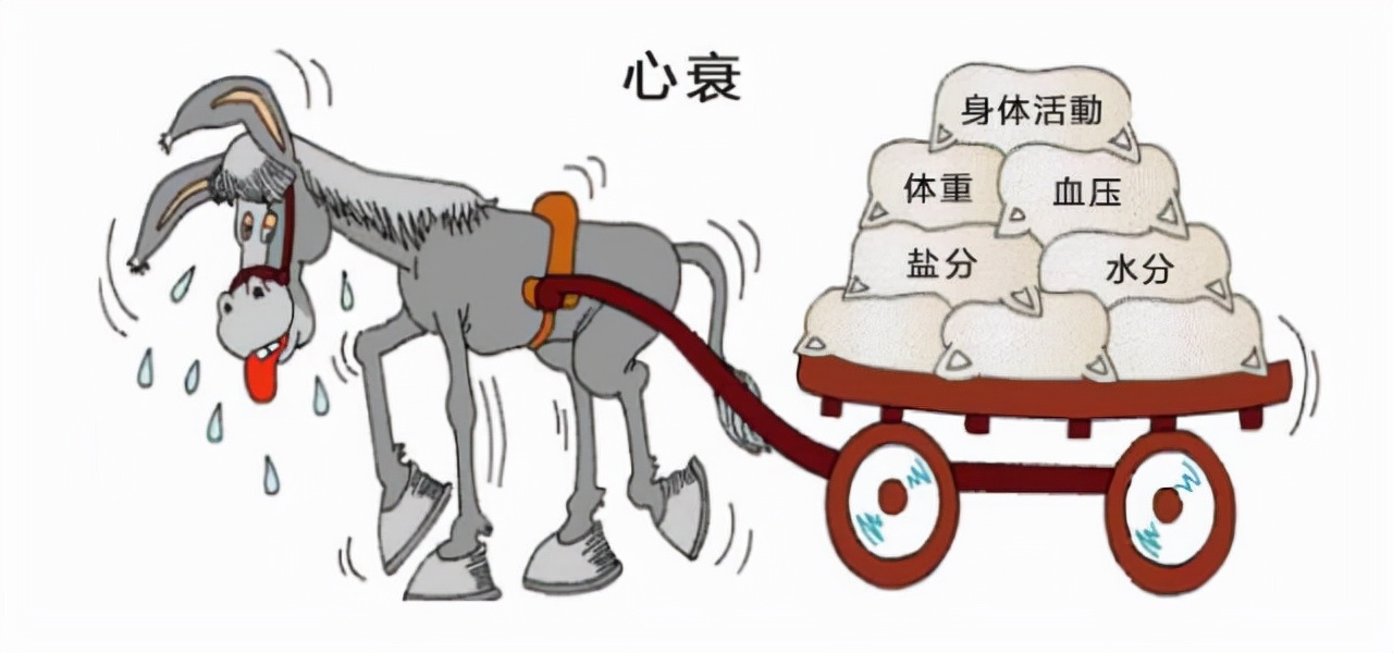 心衰药物治疗新金三角是哪三类药,心衰金三角药用法用量