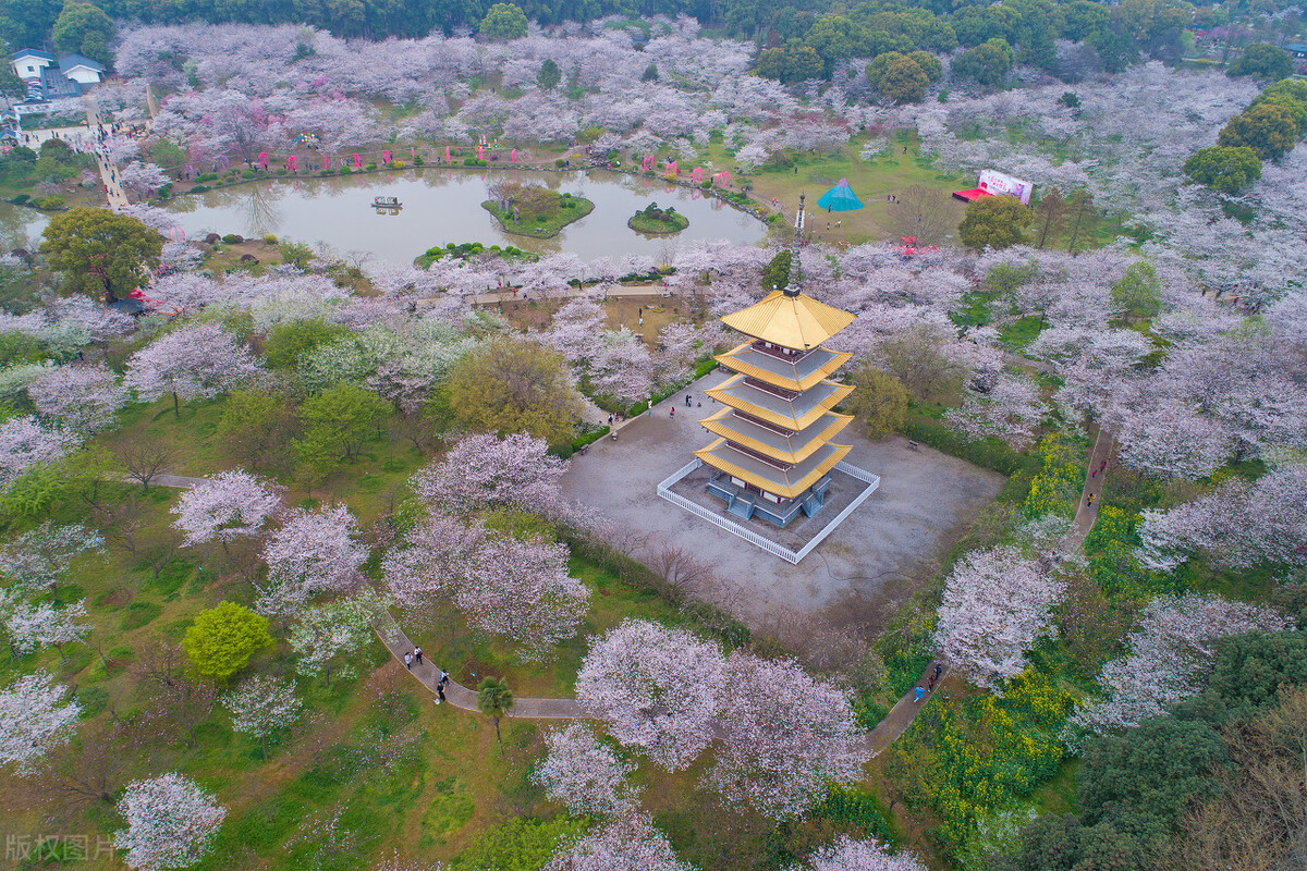 航海家的摇篮大连海事大学简介,航海家的摇篮之大连海事大学