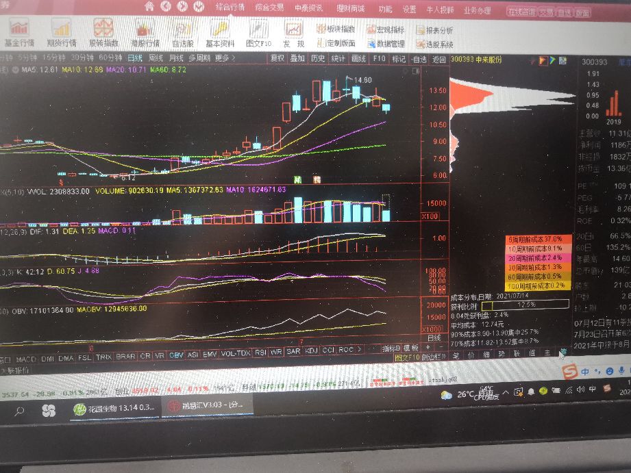 中来股份大涨原因,放量下跌至近期低点意味着什么
