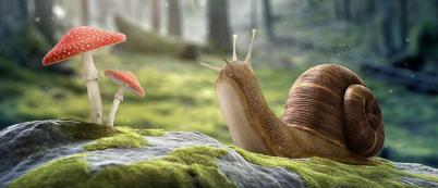 GETOUT！没完没了的霉菌