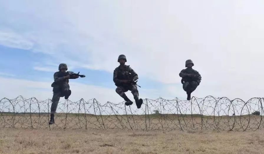 视点|看了才信！这个旅的“生命线”活力迸发