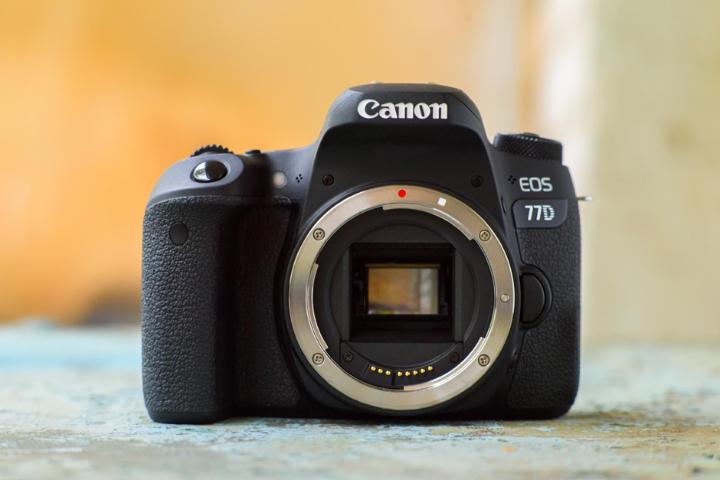 佳能eos77d出片怎么样,佳能EOS入门款