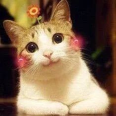 开售仅2分钟就被一抢而空！一件印花短袖居然可以12小时涨价6倍？