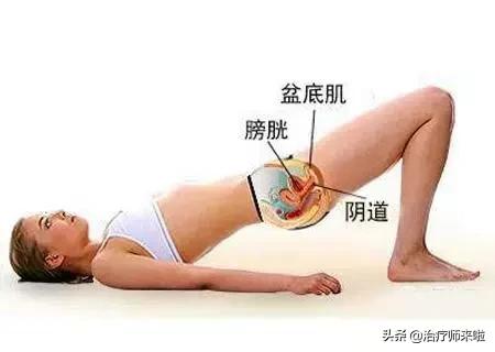 盆底功能障碍的康复——评估与治疗