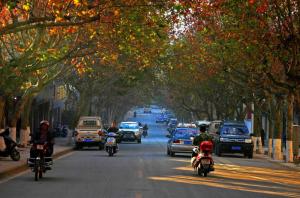 云南临沧介绍视频,云南临沧简介地图