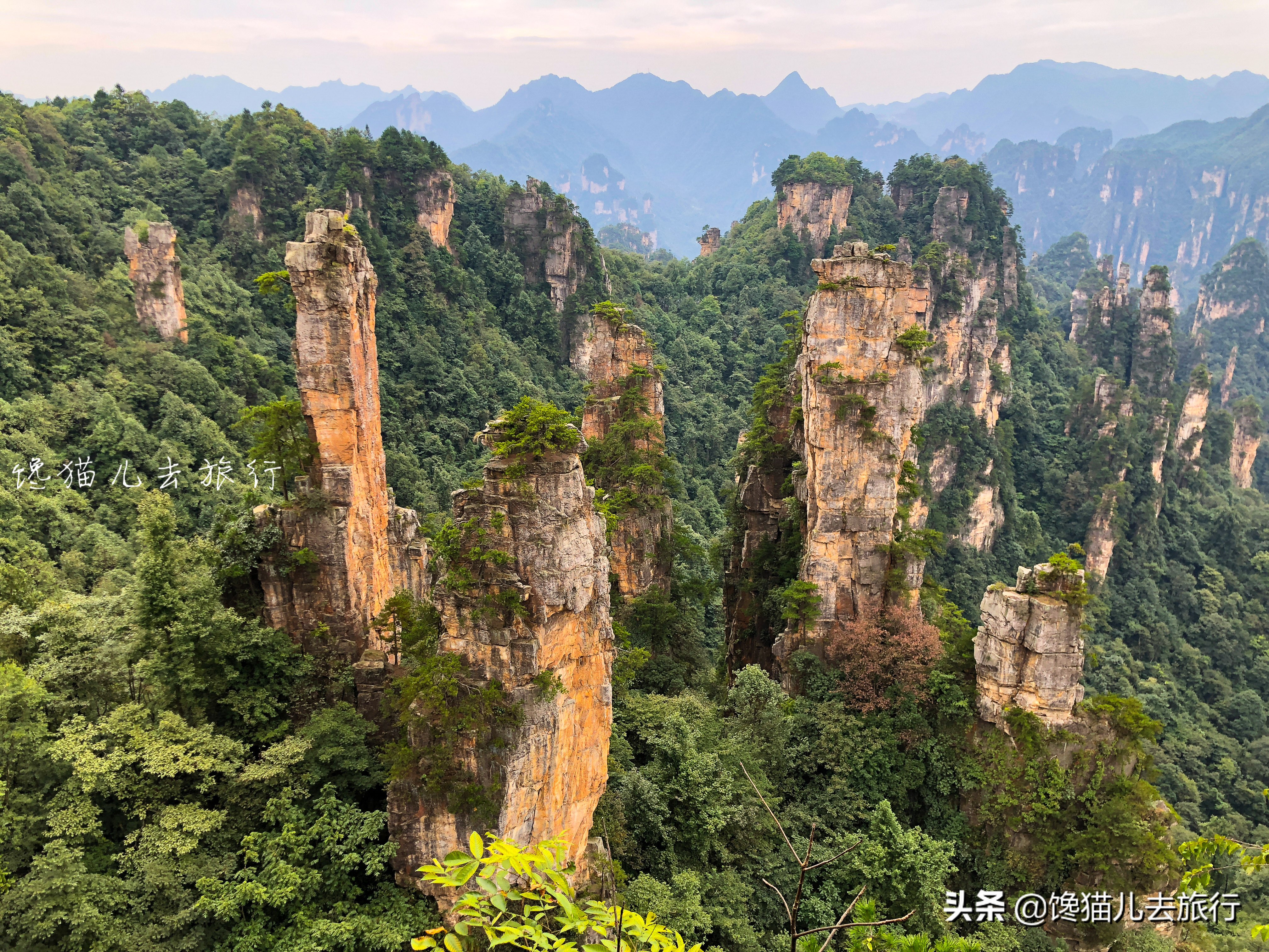 张家界旅游计划行程表模板,暑假旅游张家界攻略路线图简单版