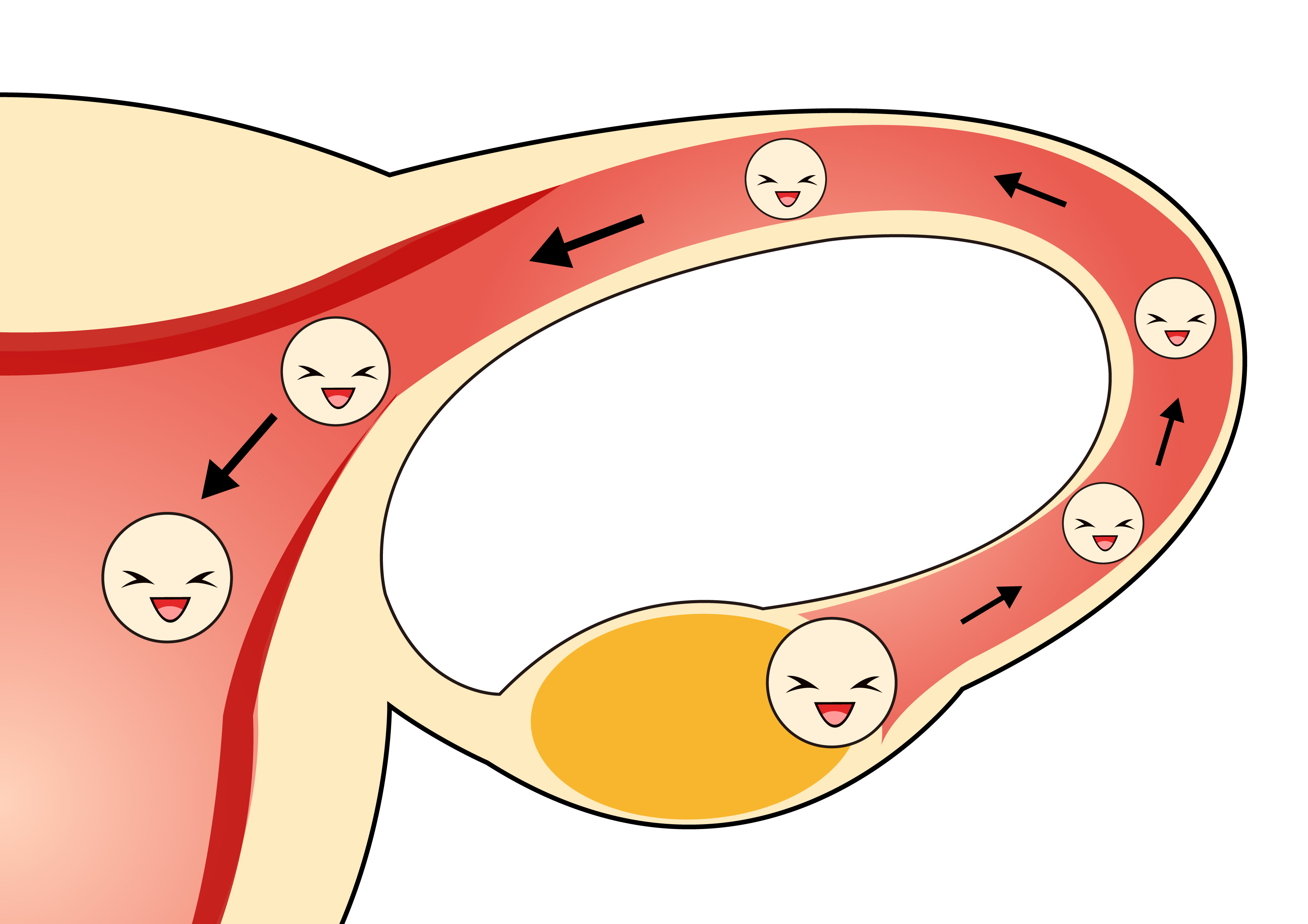 怀孕要用什么样的试纸可以测出,怀孕测排卵什么时候开始测