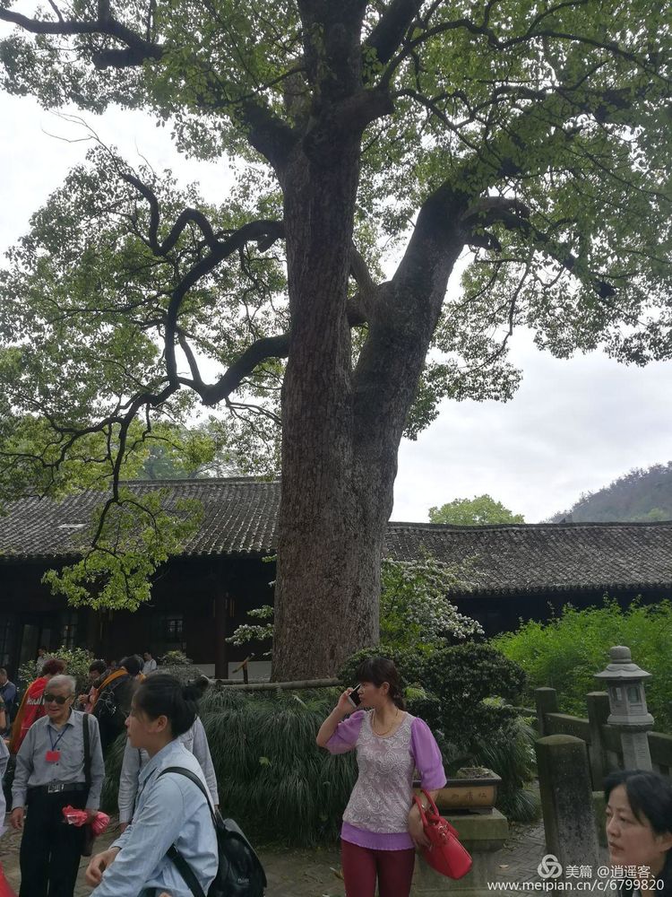 台州天台山国清寺要门票吗,天台山国清寺旅游攻略