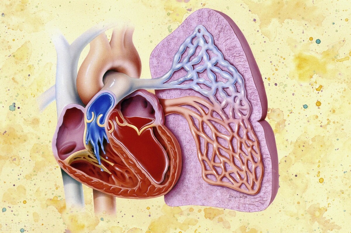 冠心病吃了药还是胸闷胸痛为什么,80岁老太心慌胸闷