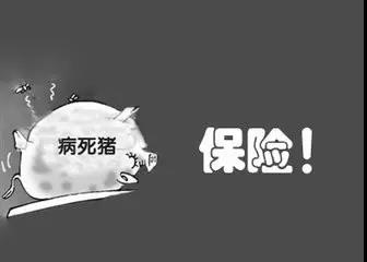 养殖有风险投资需谨慎纪录片,养殖业养什么风险最低