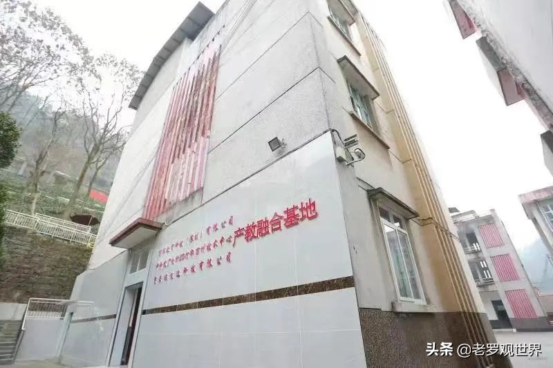 万州三峡文武学校,万州学校最新消息