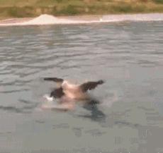 女人各种态势的样子搞笑图,女人每天必须做的搞笑事