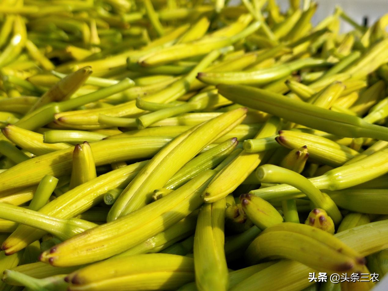 风物中华大好河山,滩羊之乡风物盐池