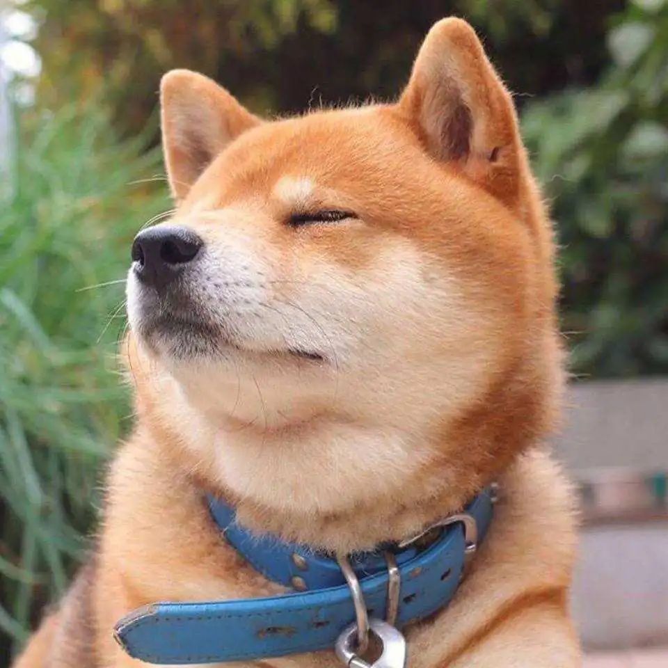 房屋漏水该找谁解决,房屋漏水应该找哪个部门解决