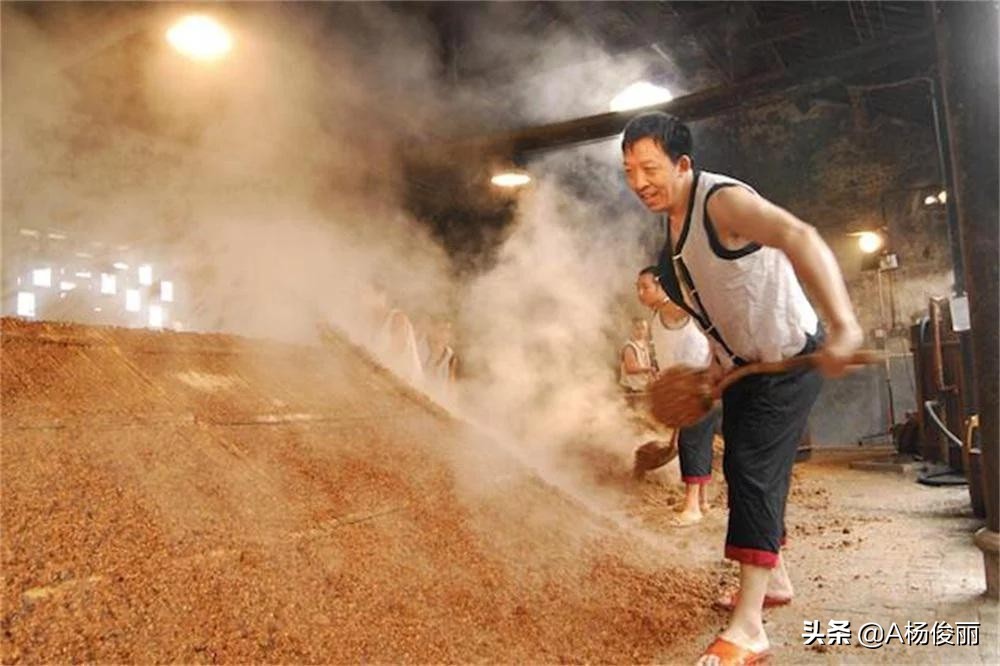 真全粮酿酒原理,真全粮高粱酒发酵过程