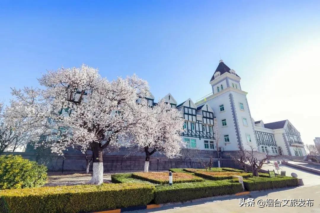 烟台人烟台攻略,烟台张裕酒庄城堡旅游攻略