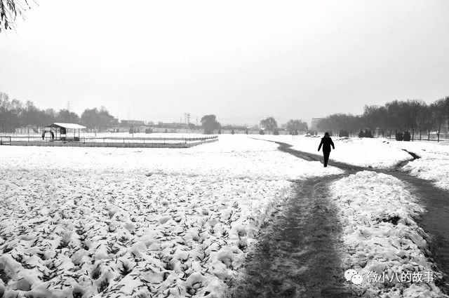 母亲永恒的话题,母亲永恒的温暖