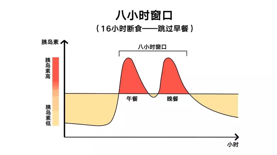 16-8小时轻断食关注事项,16小时轻断食正确的方法