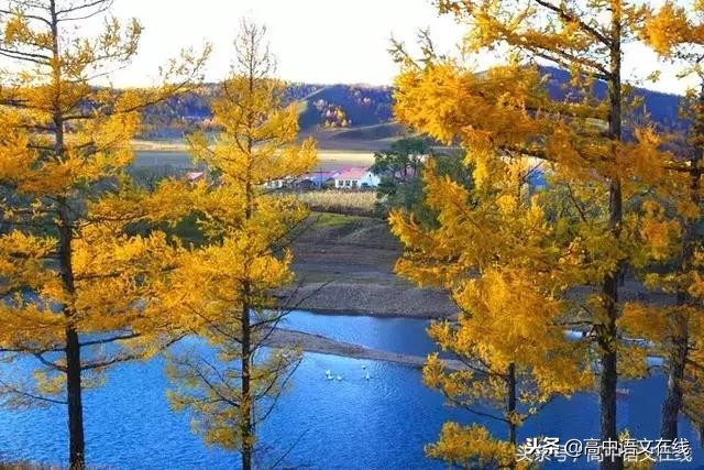 20篇作文热点素材积累,高分作文素材300字小学