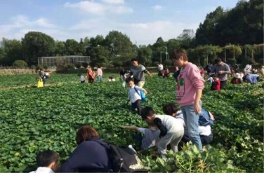 探境未然长沙宝悦邀你一起可持续发展