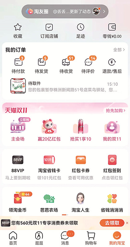 双十一网购消费行为案例分析,双十一网购理性消费案例