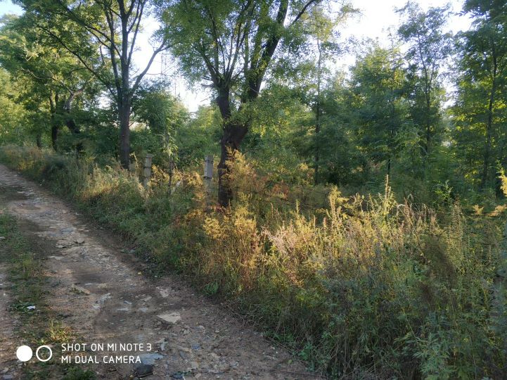 大连长兴岛长城,大连长城4s店