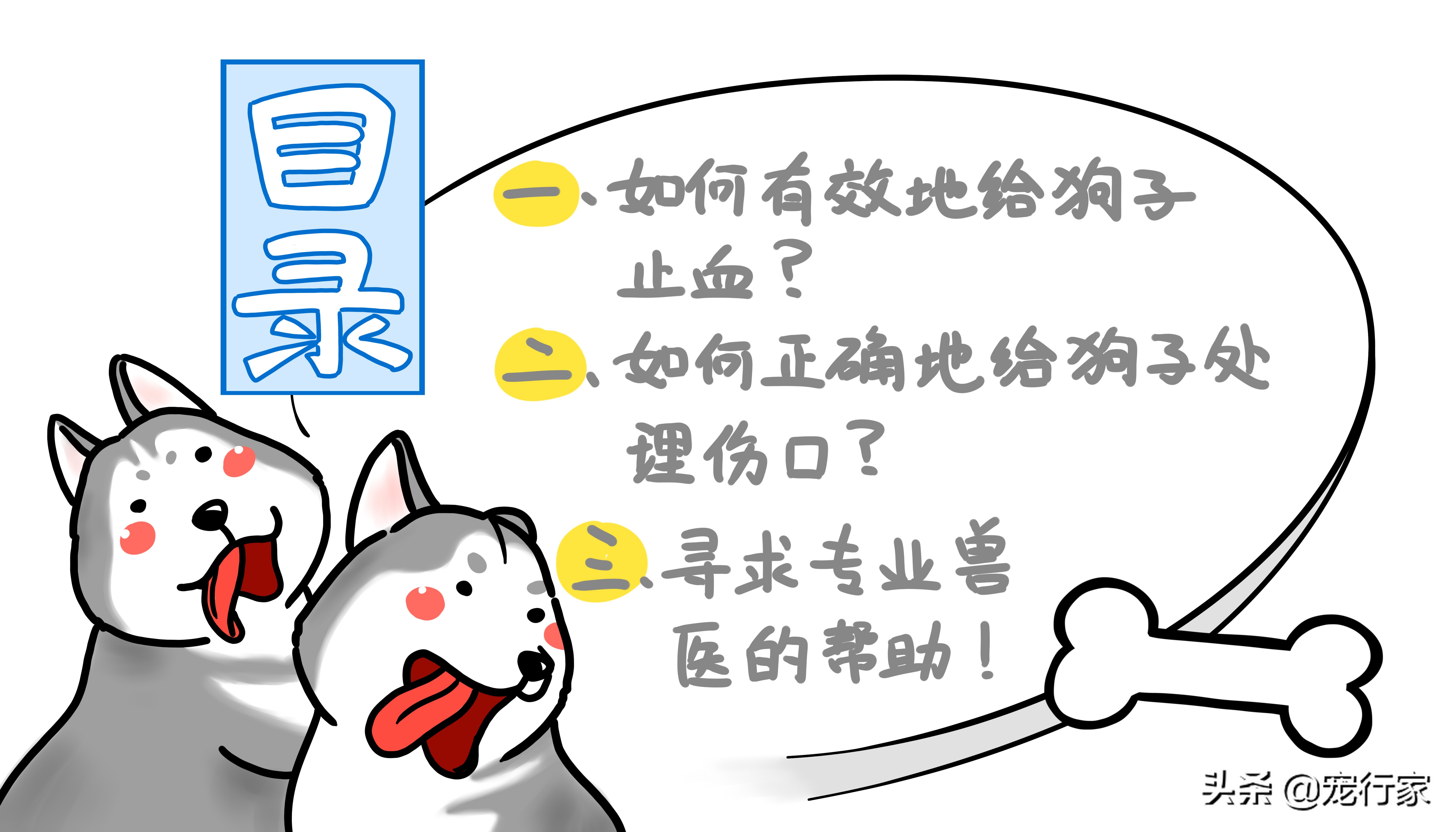 狗狗拔牙血流不止怎么办怎么止血,狗狗受伤如何包扎