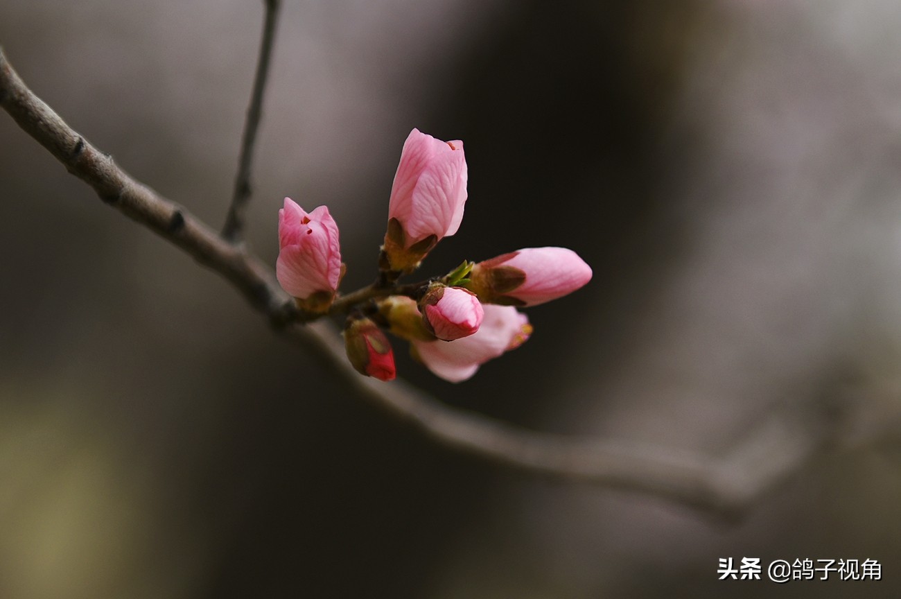 难容之事不妨付之一笑,生气时能够坦然一笑是一种大度