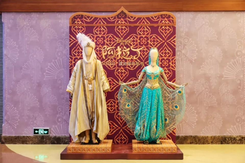 迪士尼公主和阿拉丁,迪士尼阿拉丁里面的公主