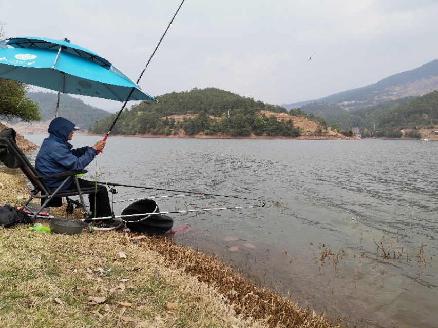 禄劝野钓鲫鱼好地方,禄劝溪流野钓