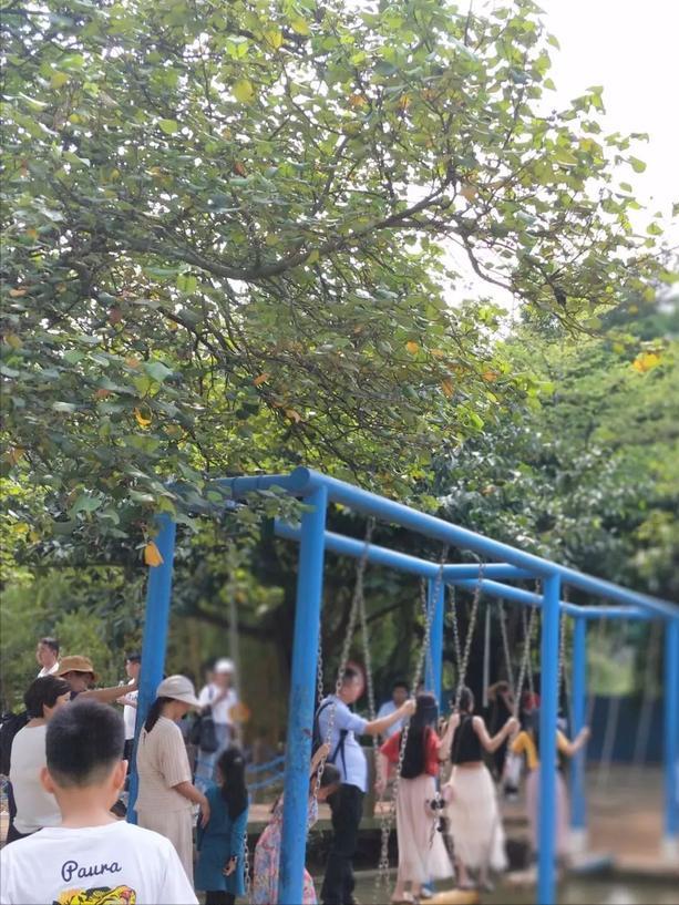 深圳海上田园一日游,深圳宝安海上田园风景